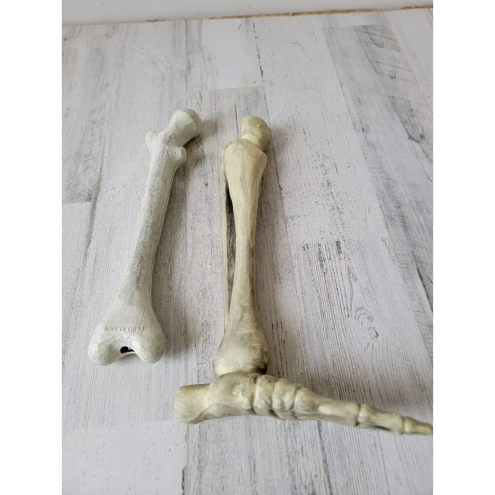 Skeleton leg bone‎ set prop Halloween decor zombie